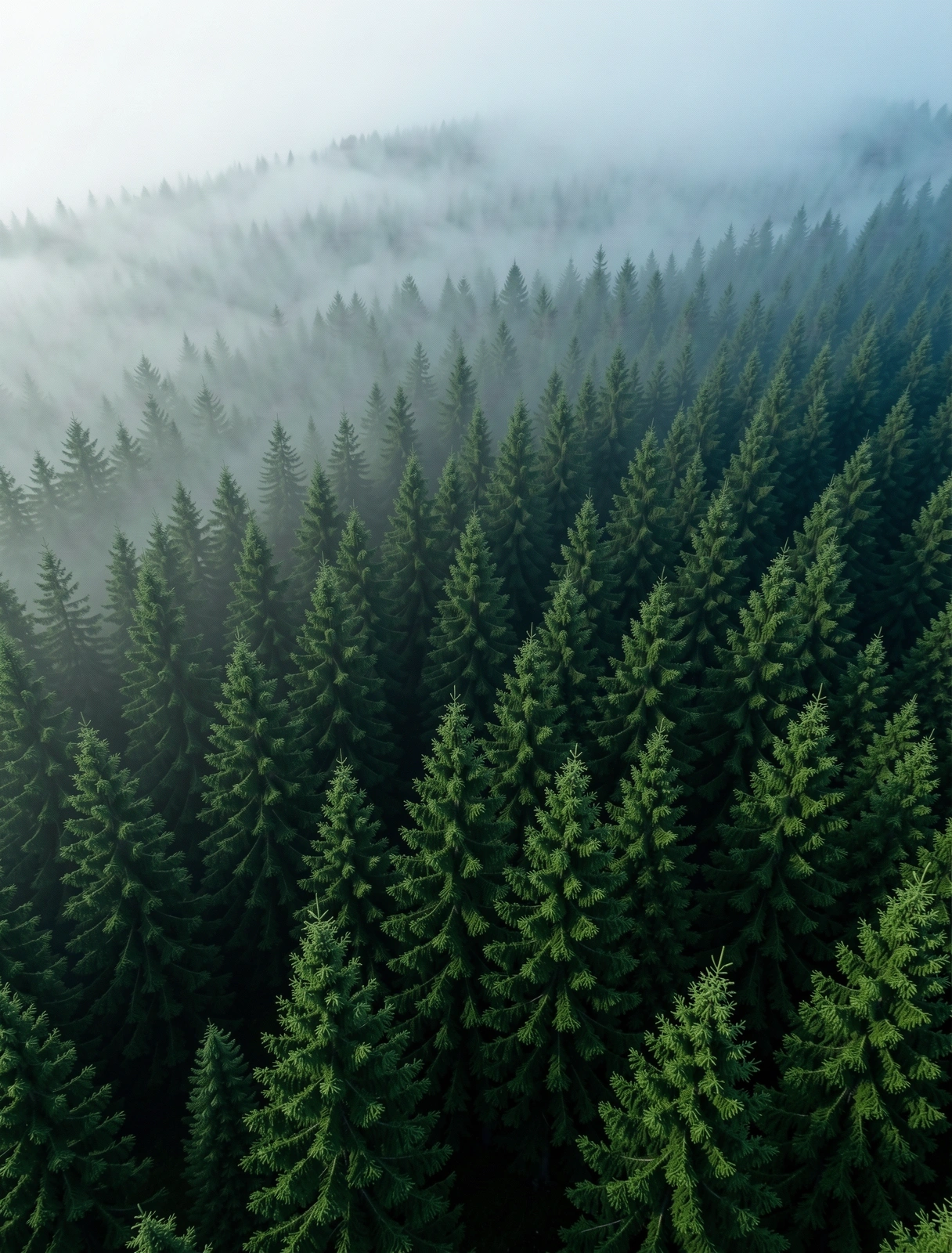 Alpine Gebirgslandschaft mit Nebel